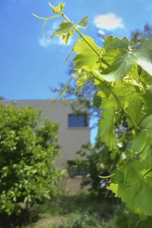 Le Clos Saint Elme Collioure Exterior foto